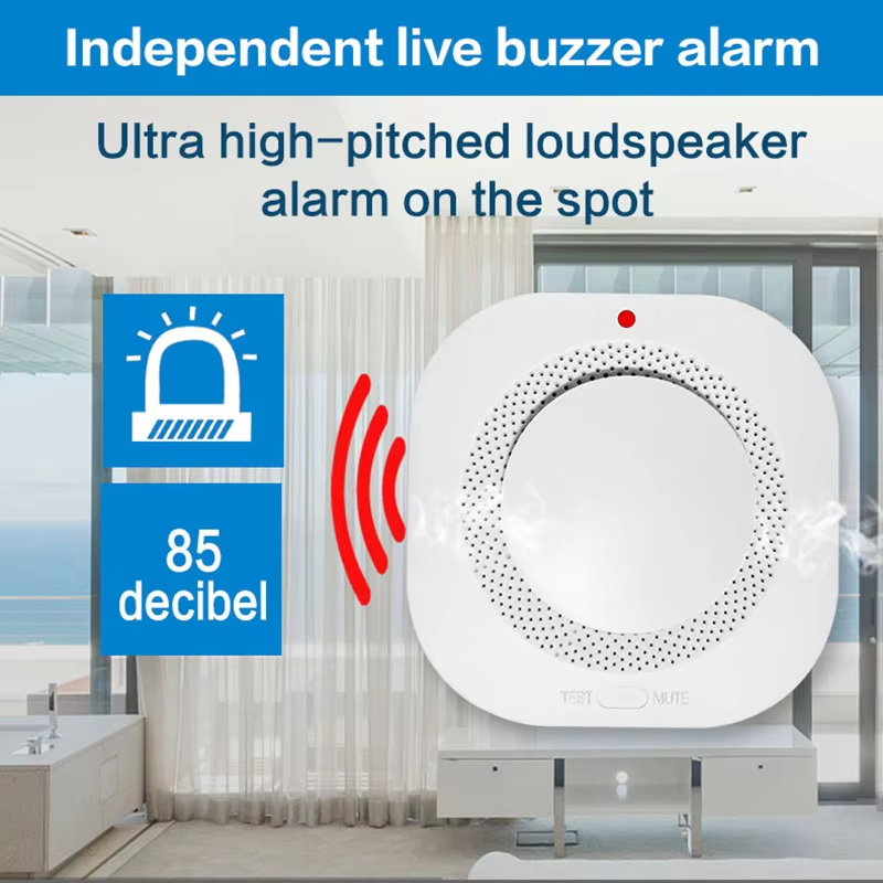 Intelligenter, unabhängiger Ra – Smoke Detector Interconnected Bewertung und Preis