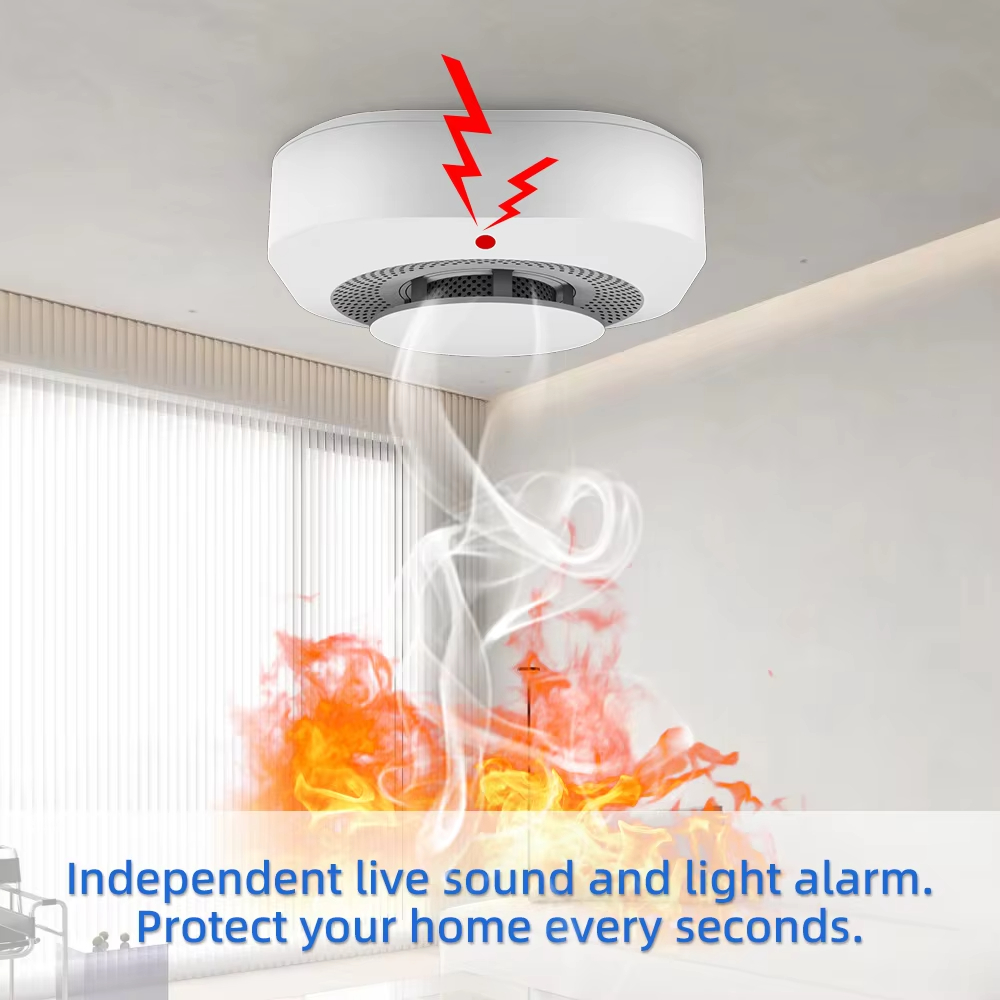 Intelligenter, unabhängiger Ra – Smoke Detector Interconnected Bewertung und Preis