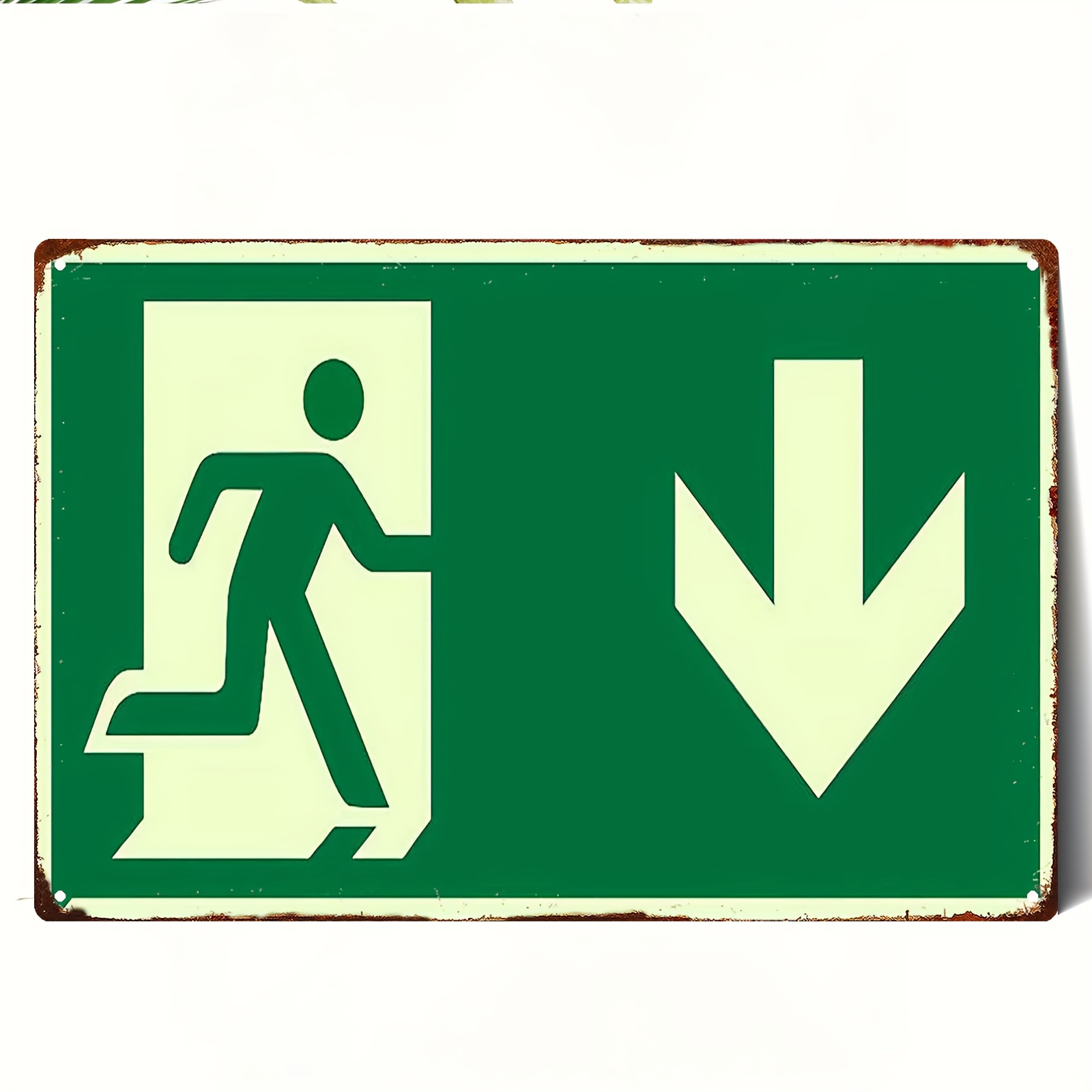 2D Vintage Metallschild aus Ei – Emergency Exit Sign Bewertung und Preis