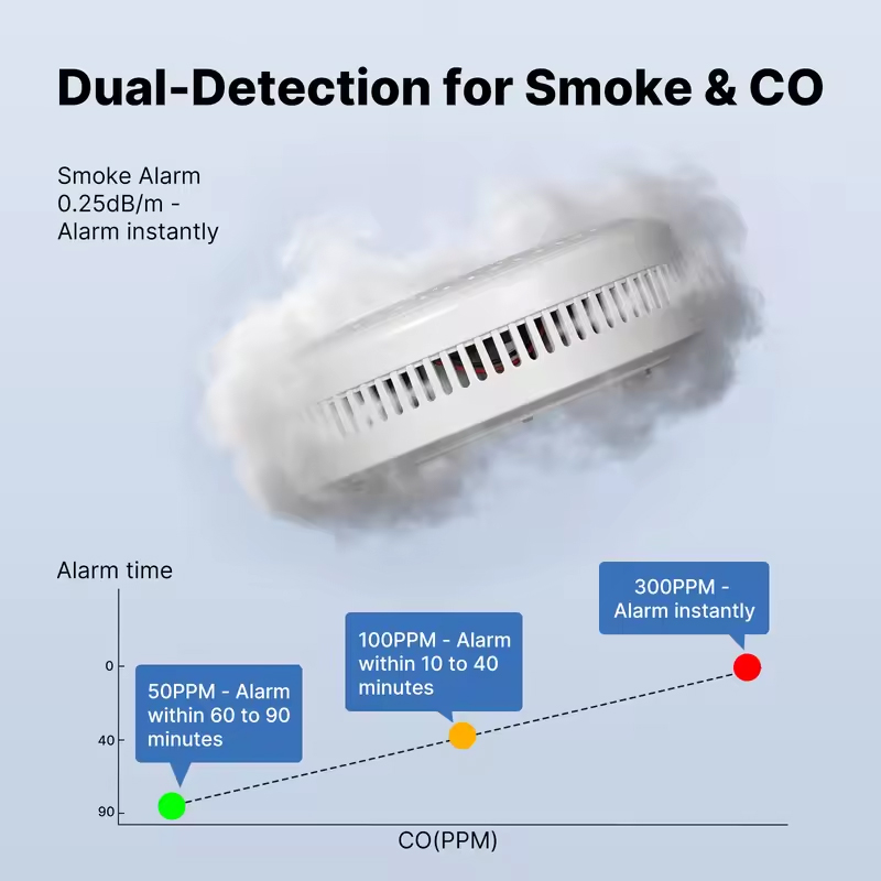 MOES Tuya ZigBee Rauch- und Ko – Co Detector Plug Bewertung und Preis